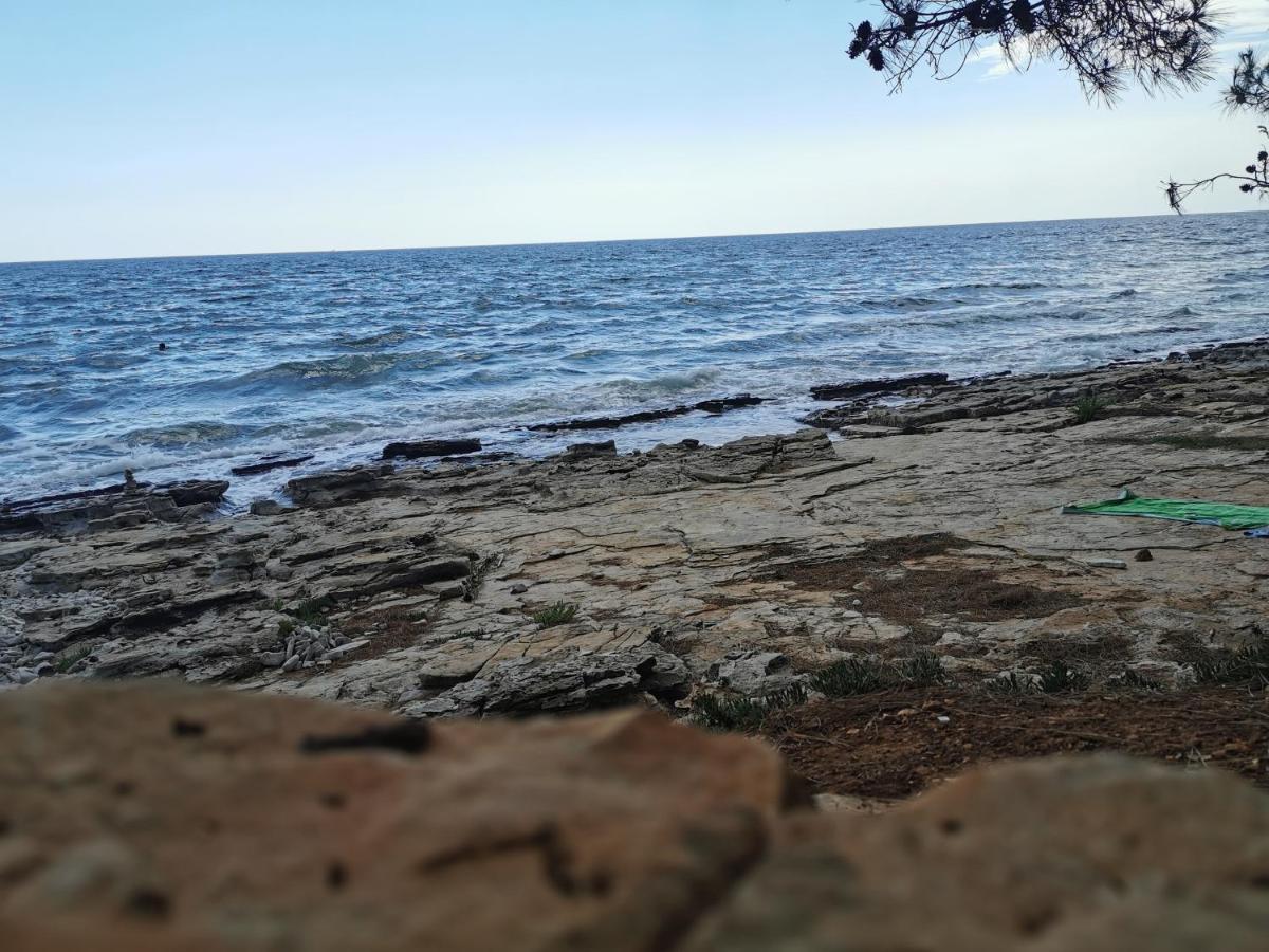 Resort Zatisje Savudrija Buitenkant foto